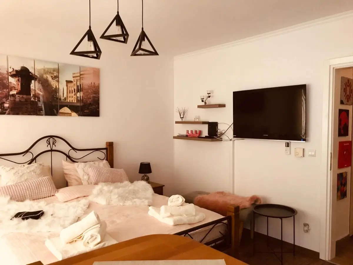 Apartment Rustic