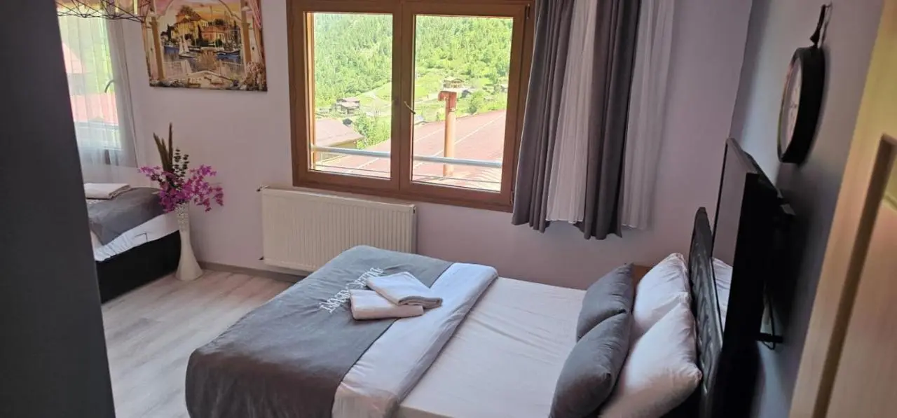 Uzungöl Dilek Pansiyon