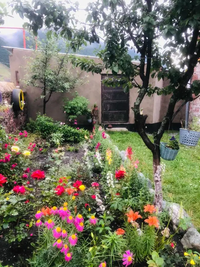 Ia's Guest House