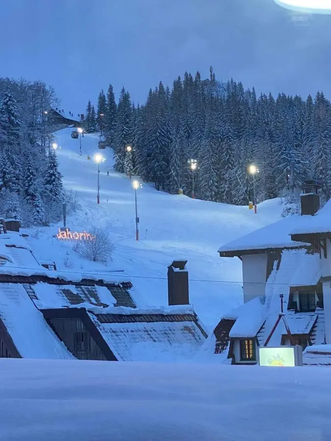 Apartment 122 - Aparthotel Vučko Jahorina - private host