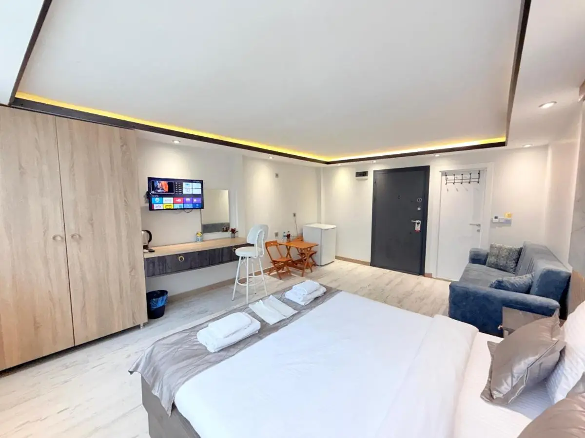 The Blue Mansion Modern Rooms