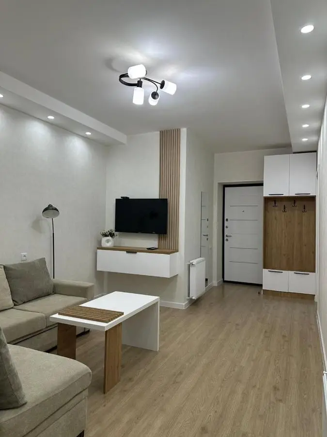 Modern apartment in Borjomi