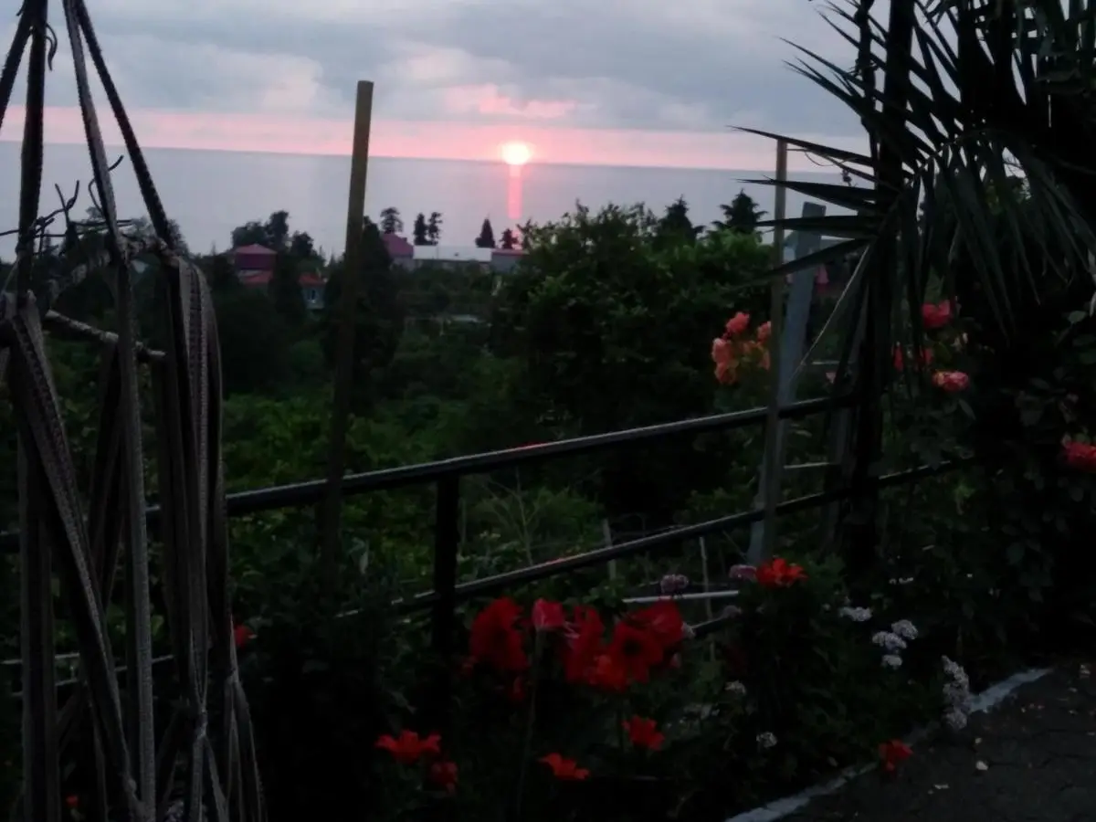 Kemeni Garden