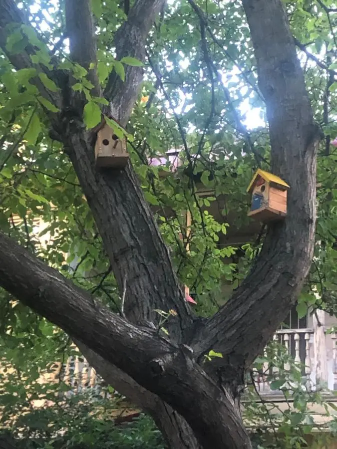 Apartment king Erekle 2
