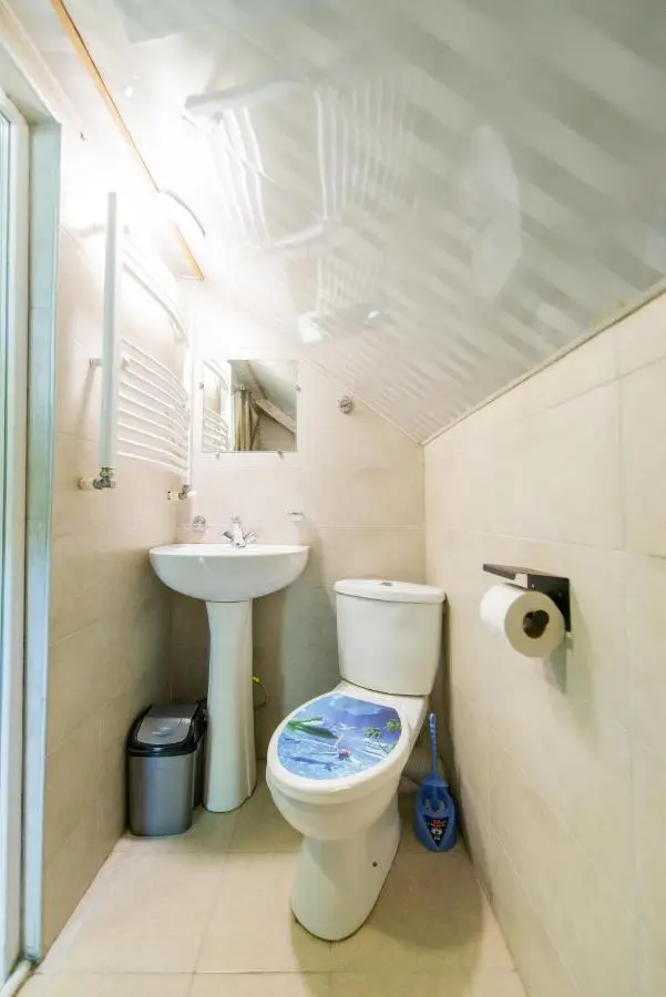 Gudauri private cottage