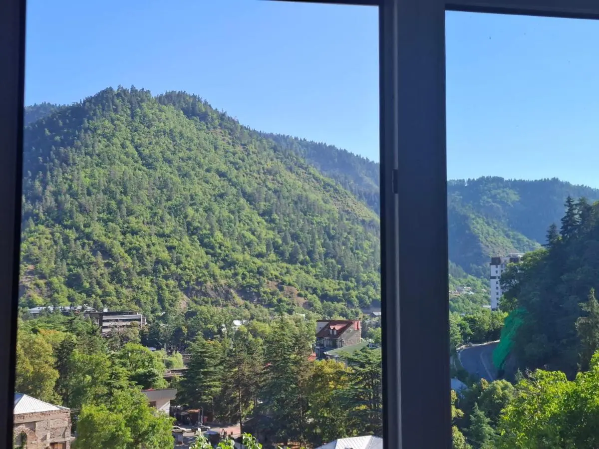 Borjomi Nest 1