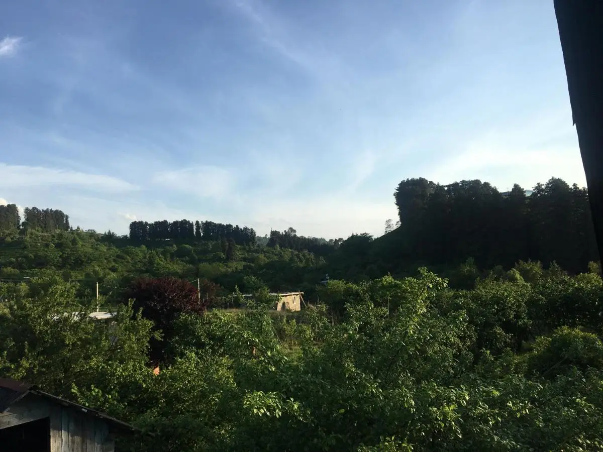 Homestay in Batumi Дом в Чакви