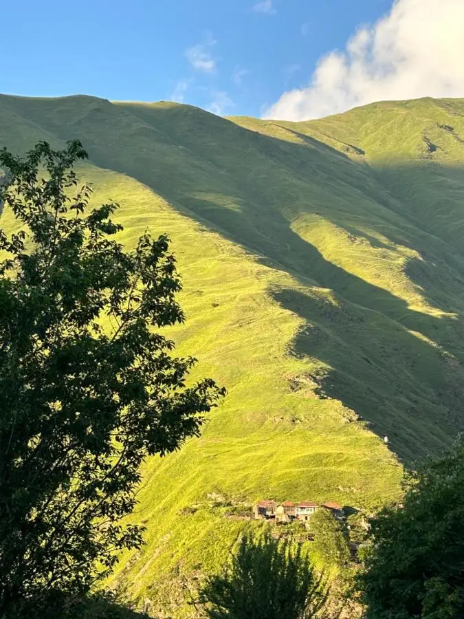 Cottage GORDA Kazbegi