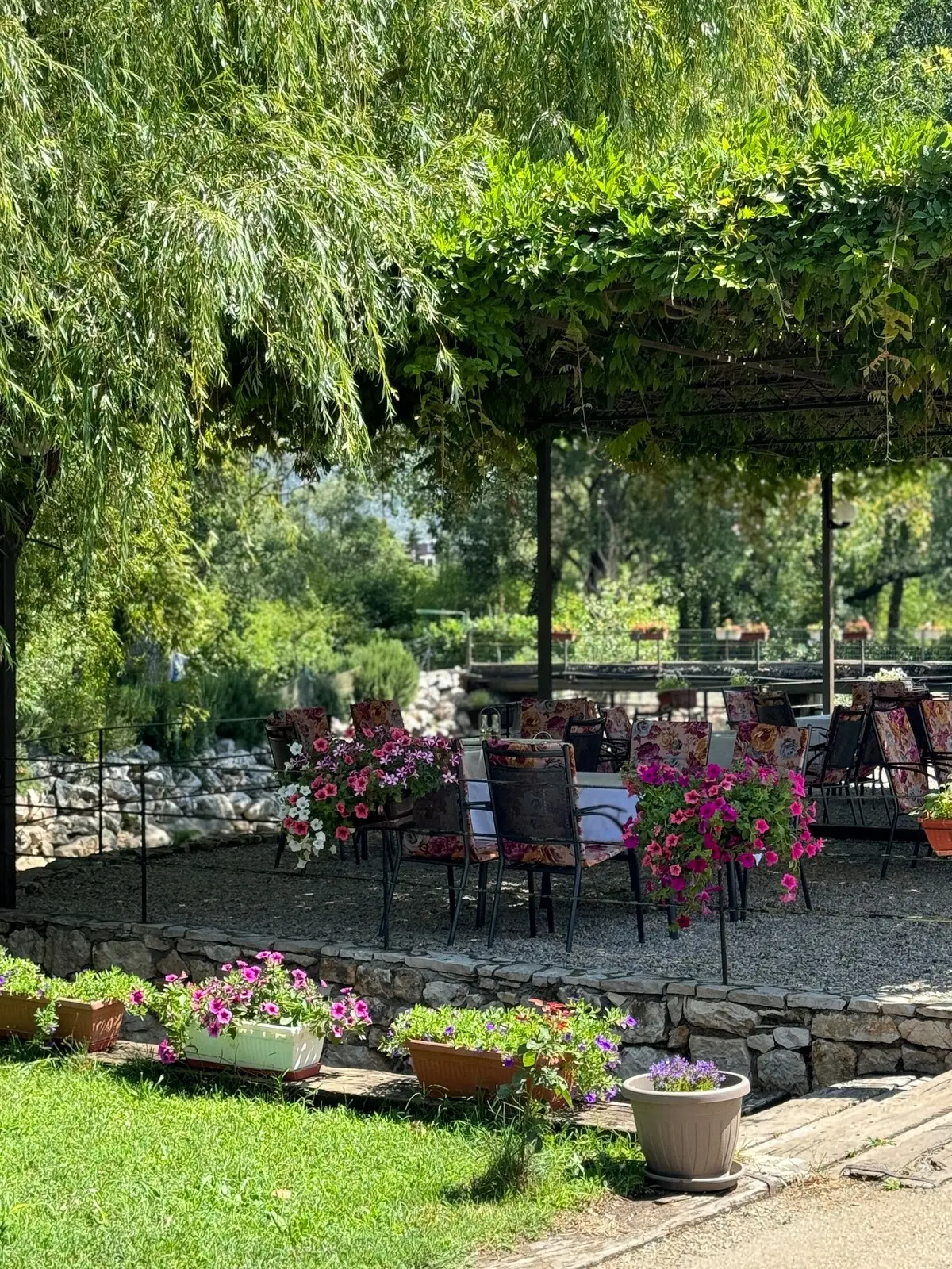 Nature View - Room 1