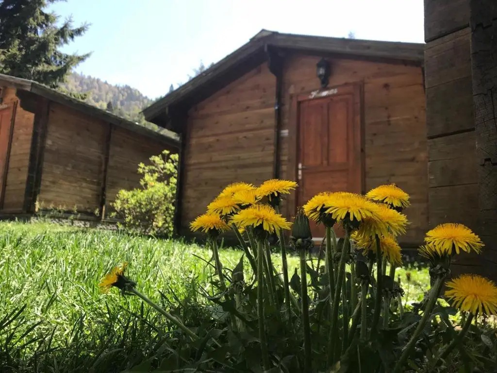 Kardelen Bungalov Evleri̇