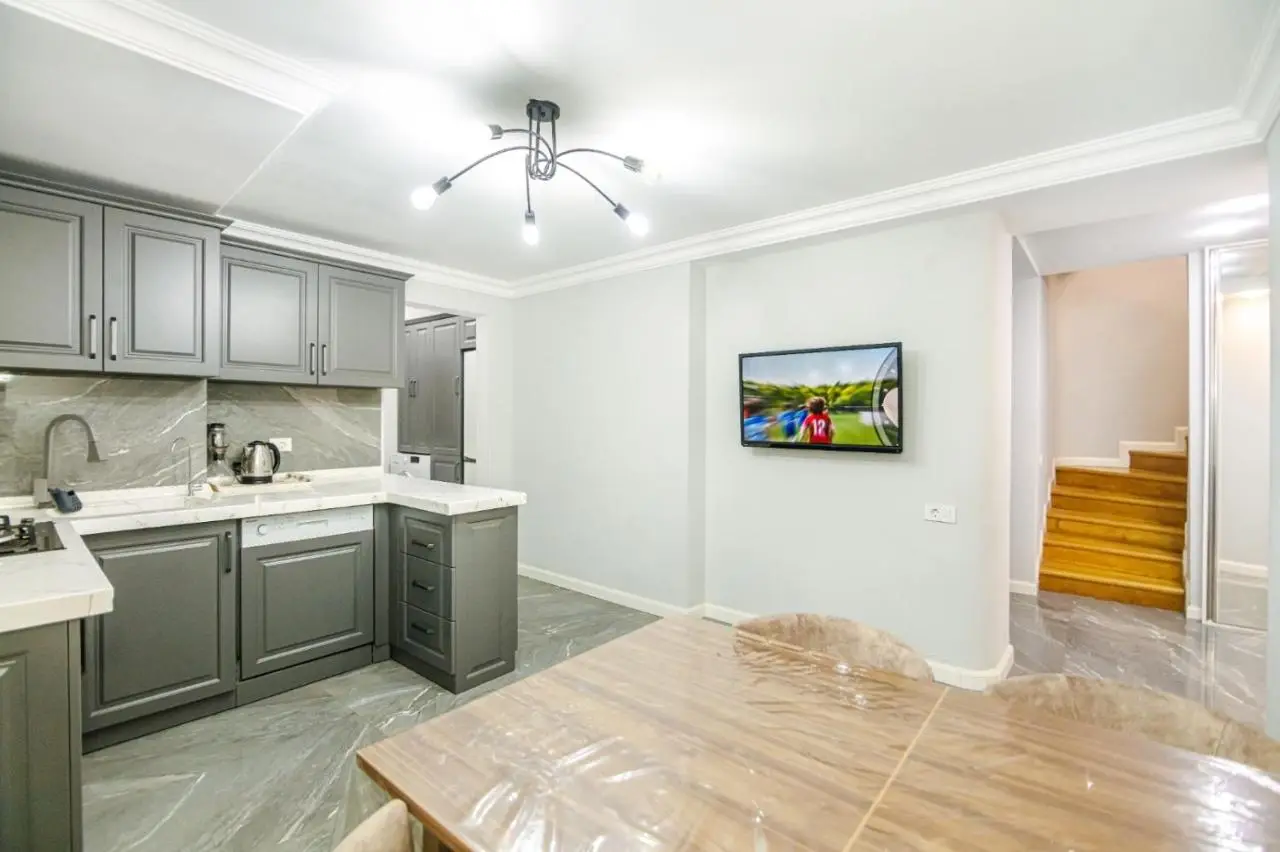 Nizami Street New Apartment Mojo