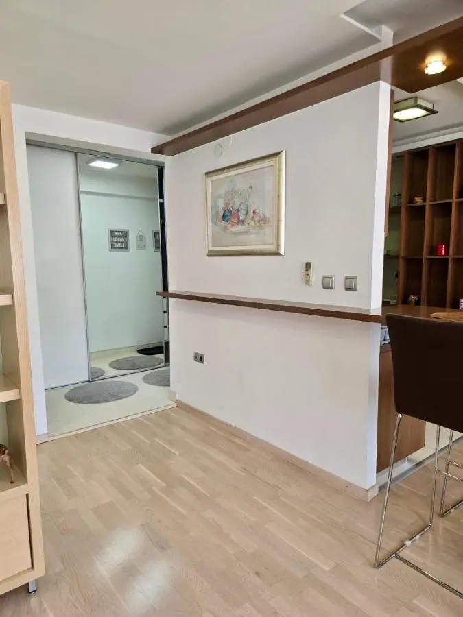 Premium Apartment Vilsonovo