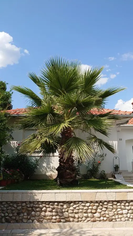 Apartments Tulipan - with free private parking garage