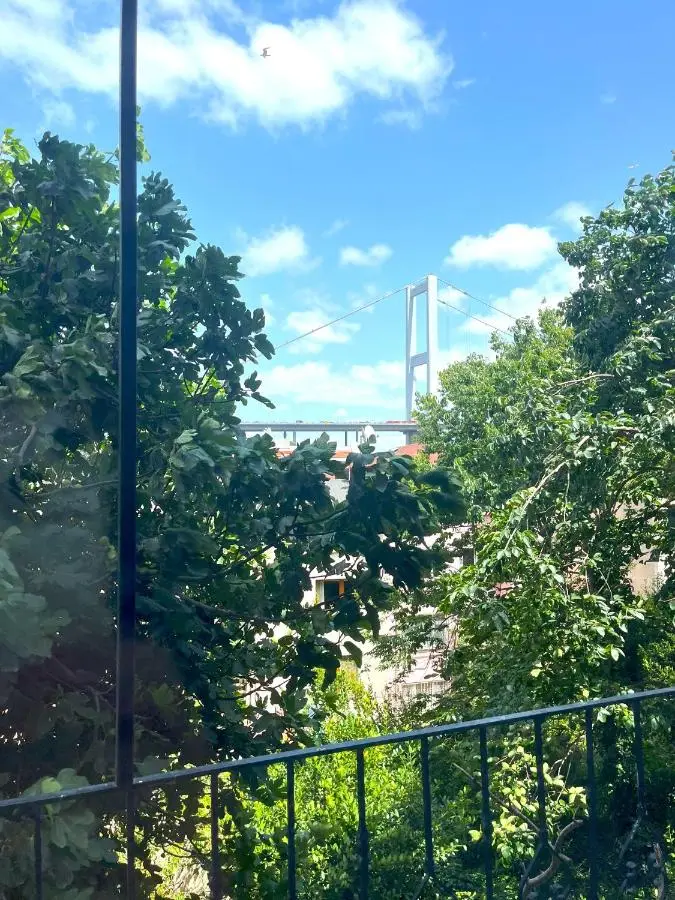 Flex Ortakoy
