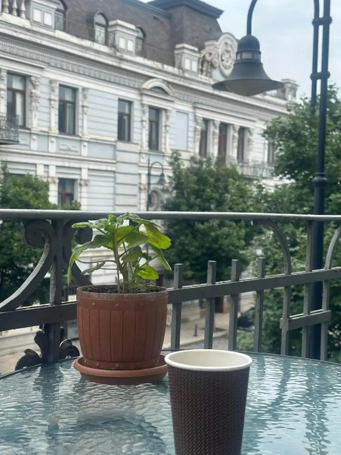 Sweet Home Agmashenebeli
