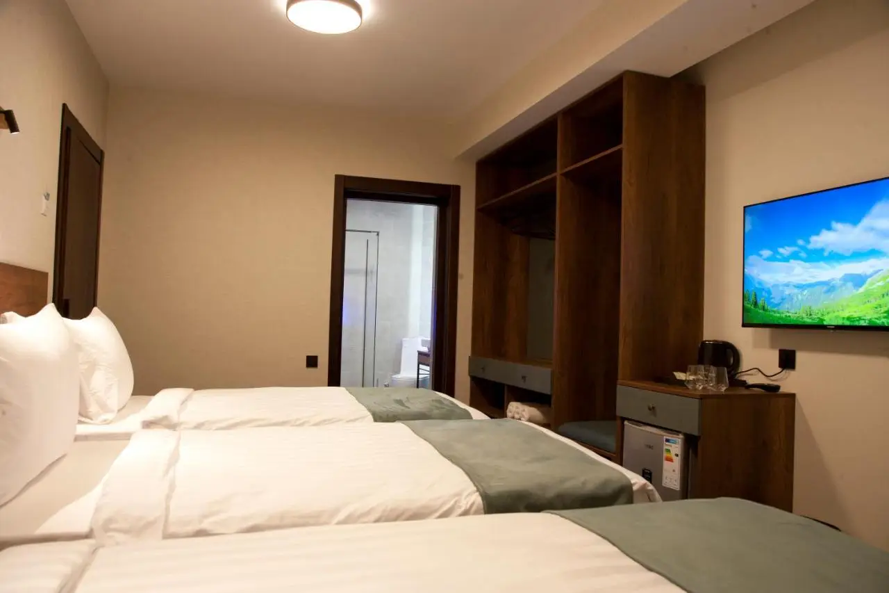 Borjomind Hotel Borjomi