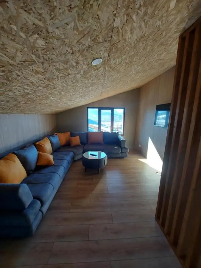 Luxury Villa in the heart of Bakuriani