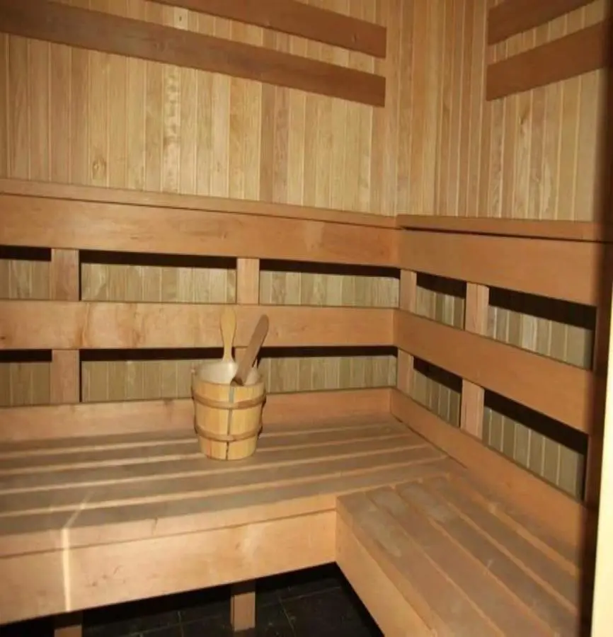 ORBI PALACE DELUX Bakuriani room 470