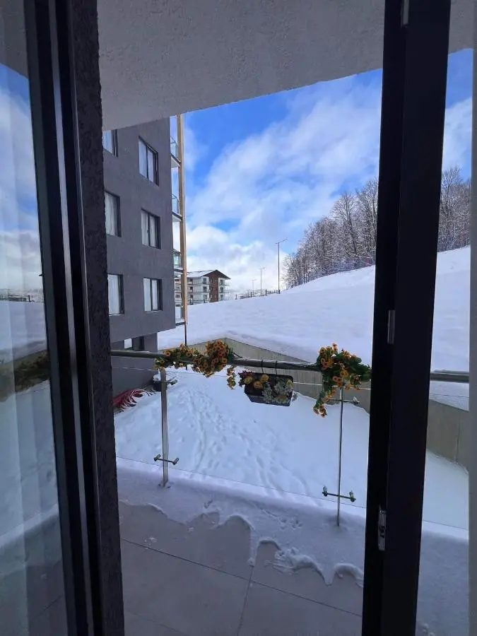Crystal Wood Apartment 213