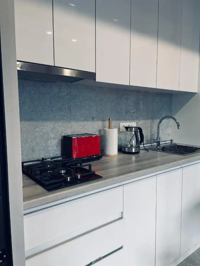 Kazbegi Luxury Apartment
