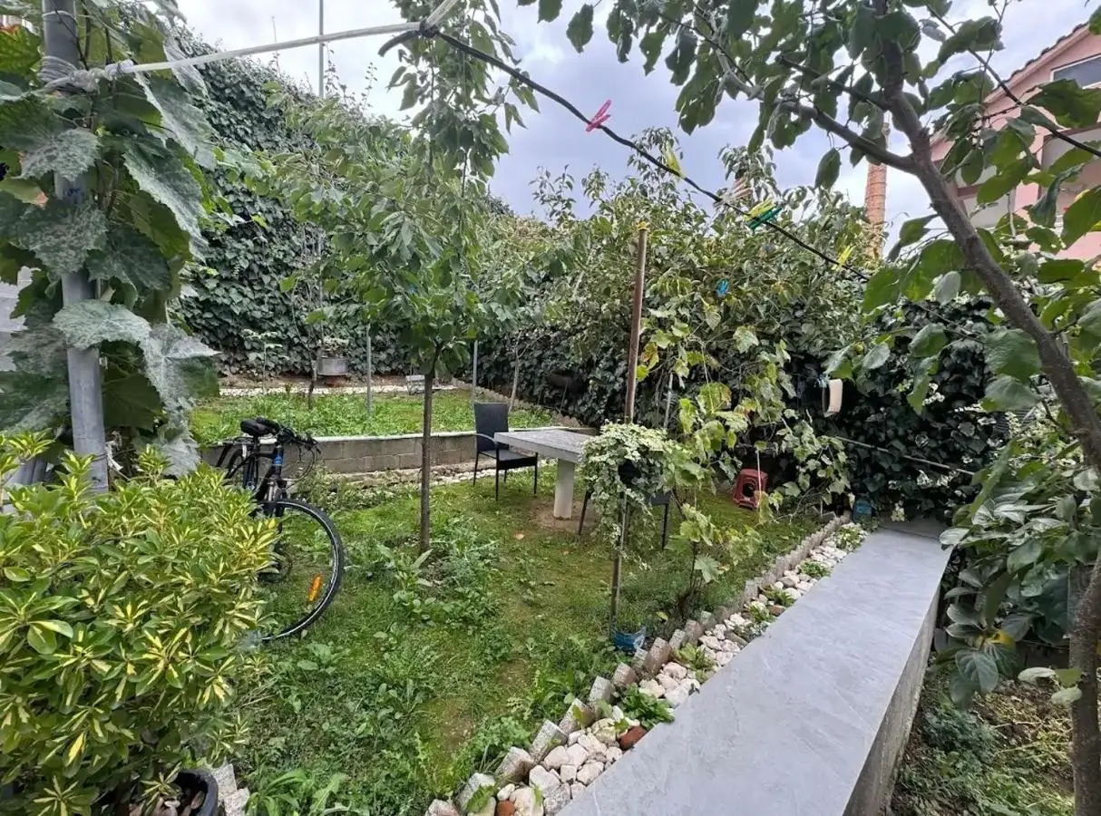 Guest house pogradec 2