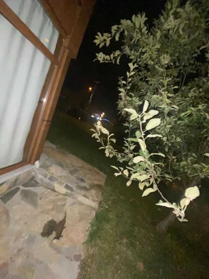 SNOW HİLL HOUSE Pansiyon