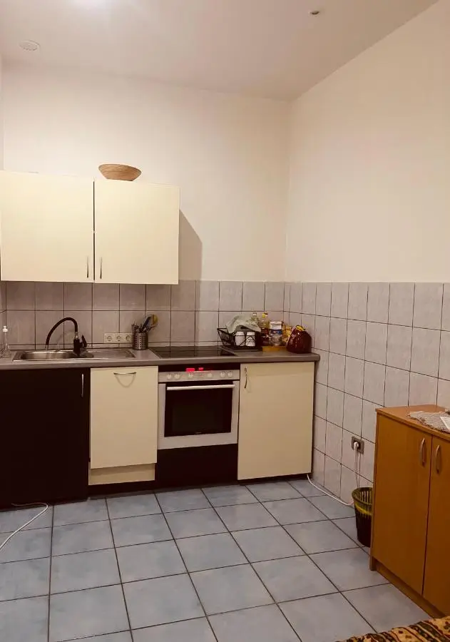 Apartman Vinkov's center