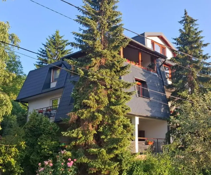 Guesthouse Hill