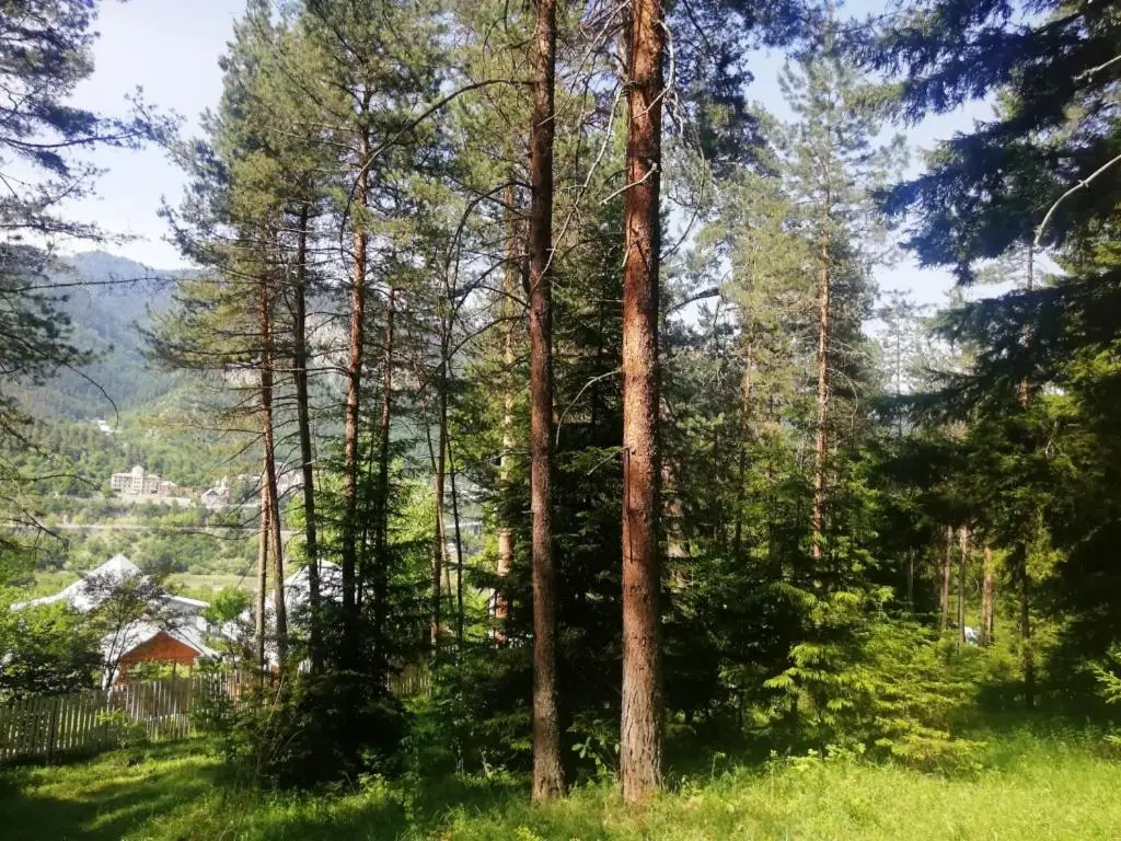 Guest House Ilia