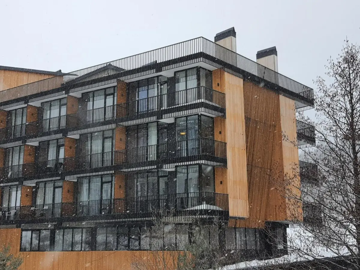 Perfect studio near Didveli ski area