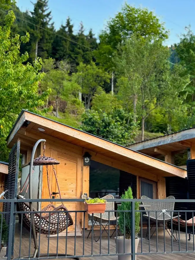 Hotel Borjomi Verde
