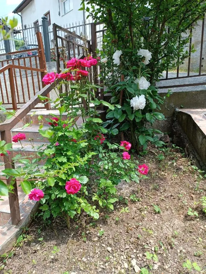 Apartmani BA