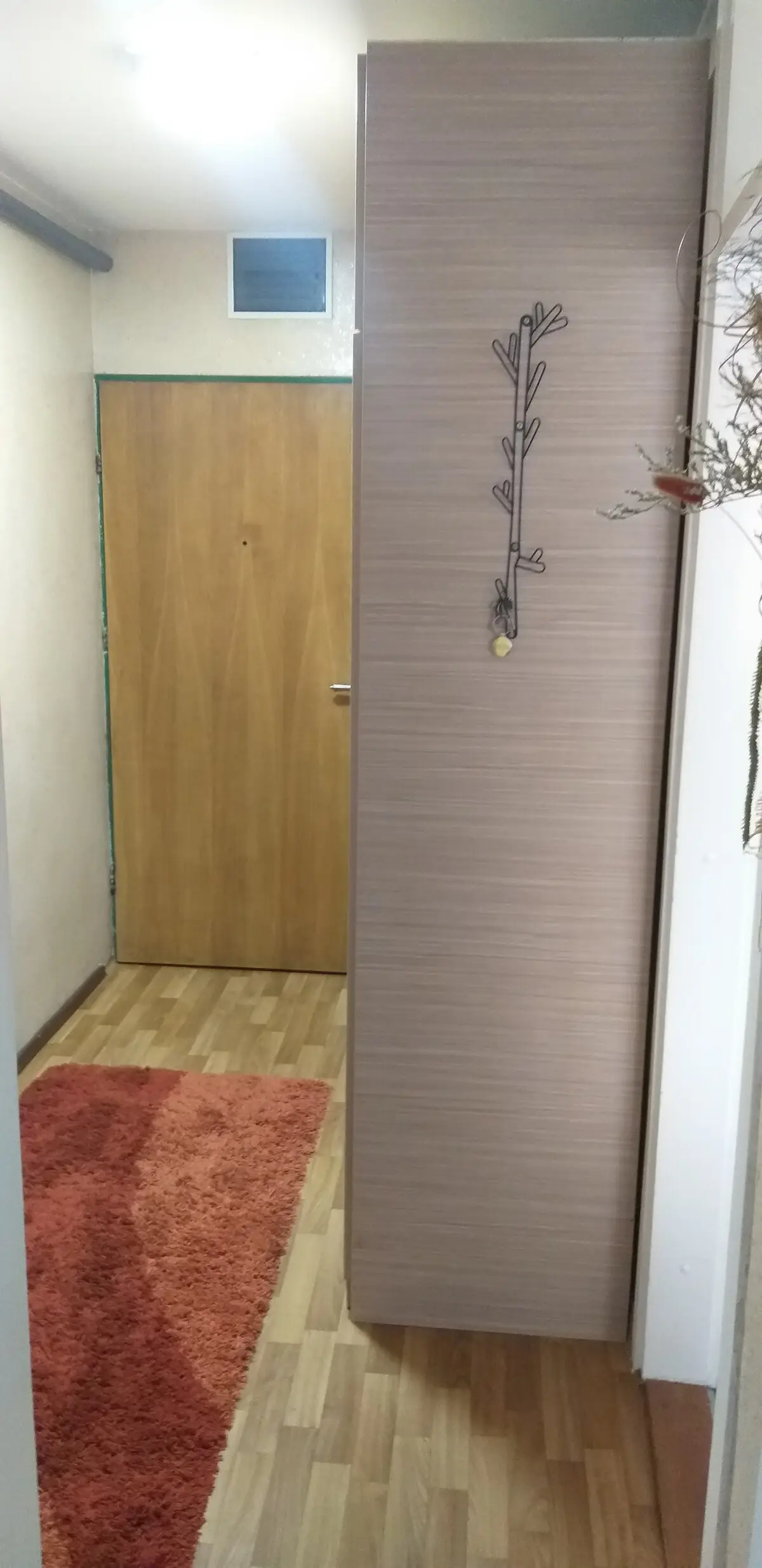 Medena apartment