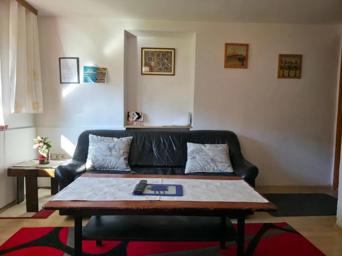 Apartment near center