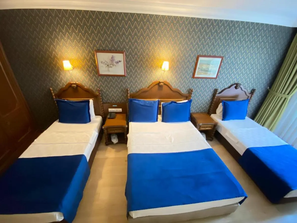 Hotel Büyük Levent