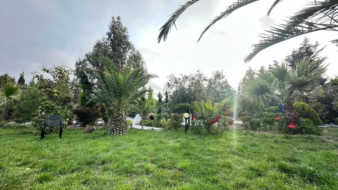 Baku White Villa