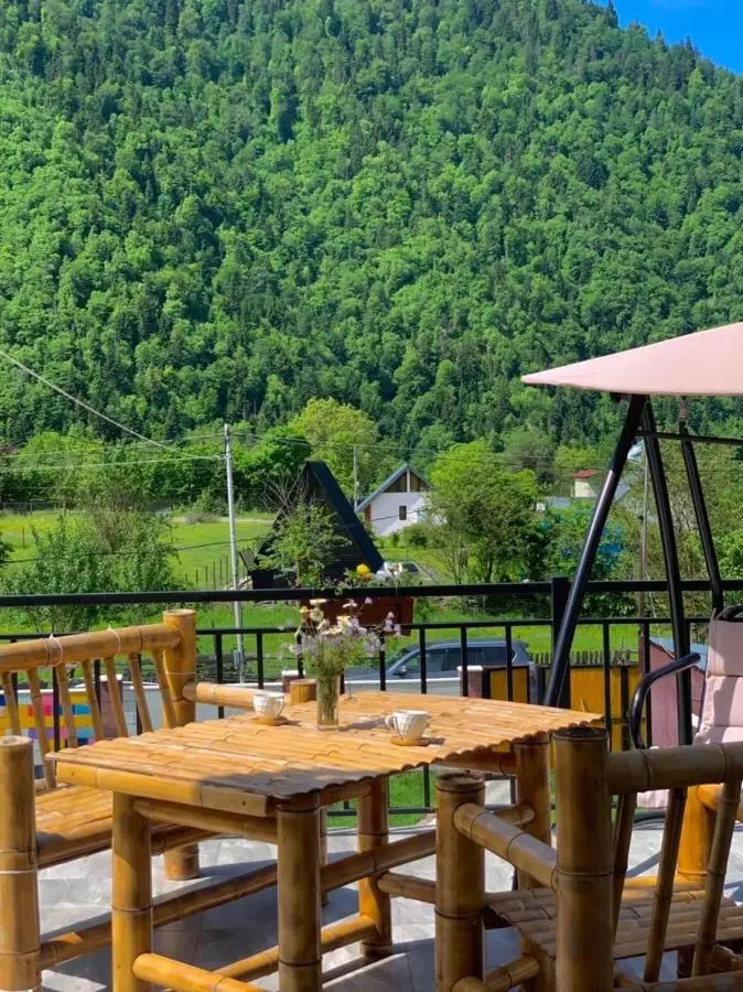 Green Mountain Borjomi
