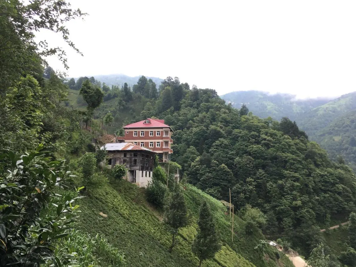 Gunguli Pansiyon
