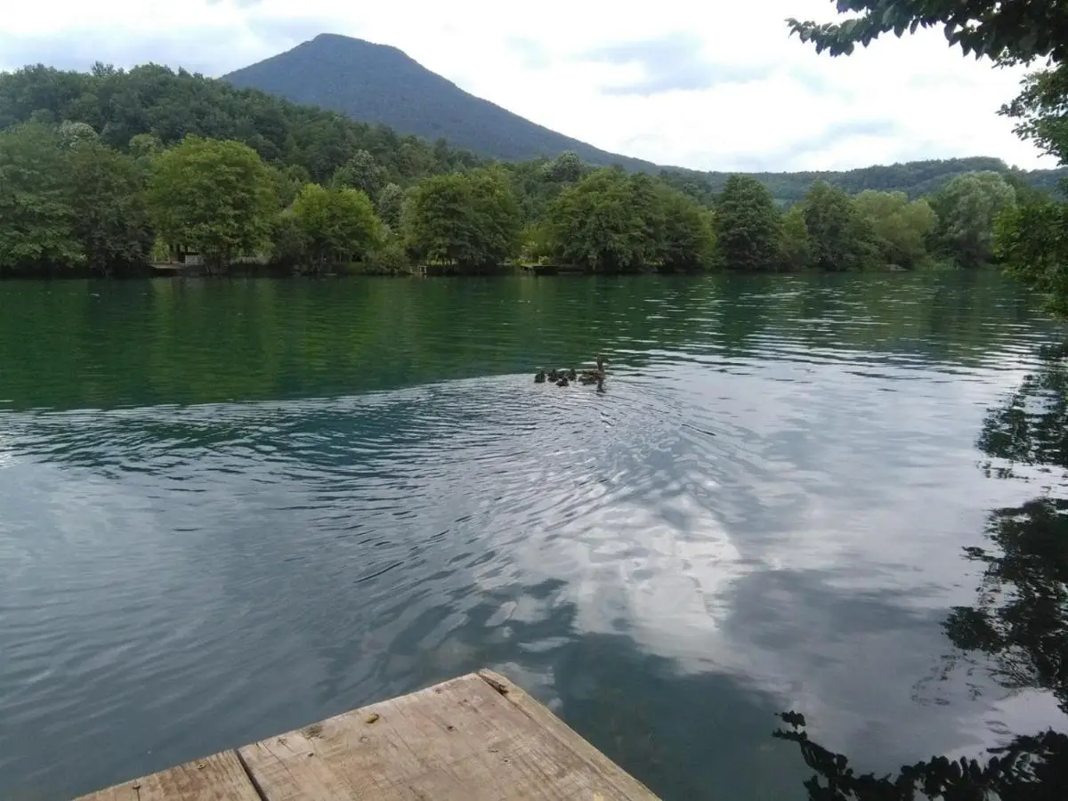 The River House