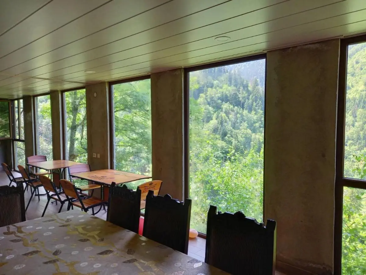 Hotel Villa Borjomi