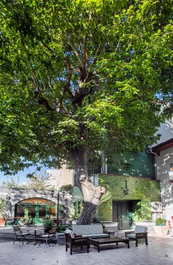 Garden House Hotel - Special Class
