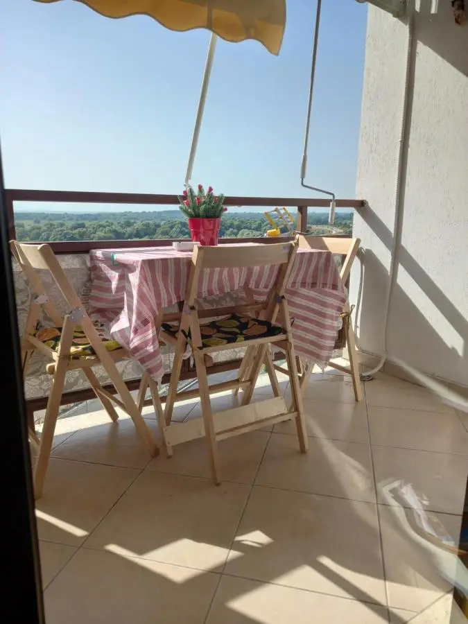 Panoramic apartment