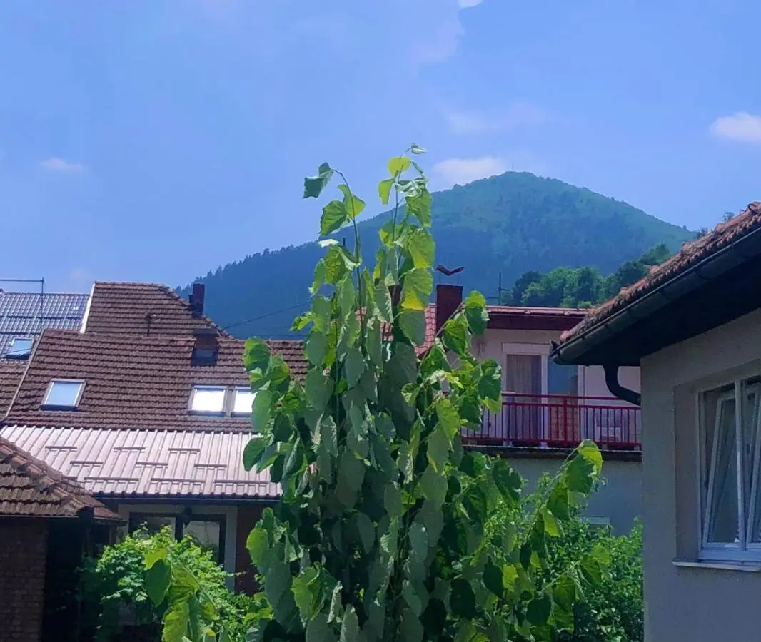 Apartman Balkan