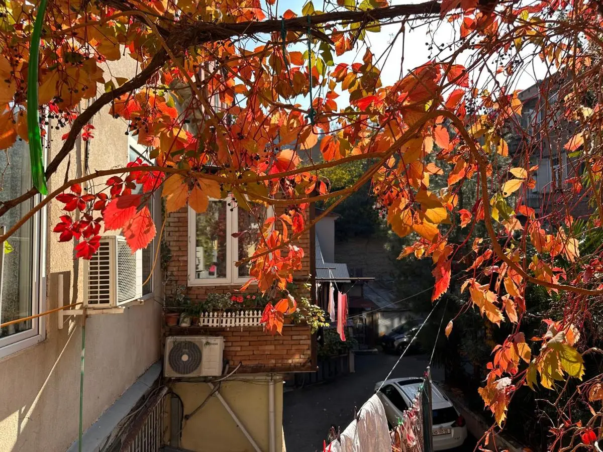 Heart of Old Tbilisi Apartments