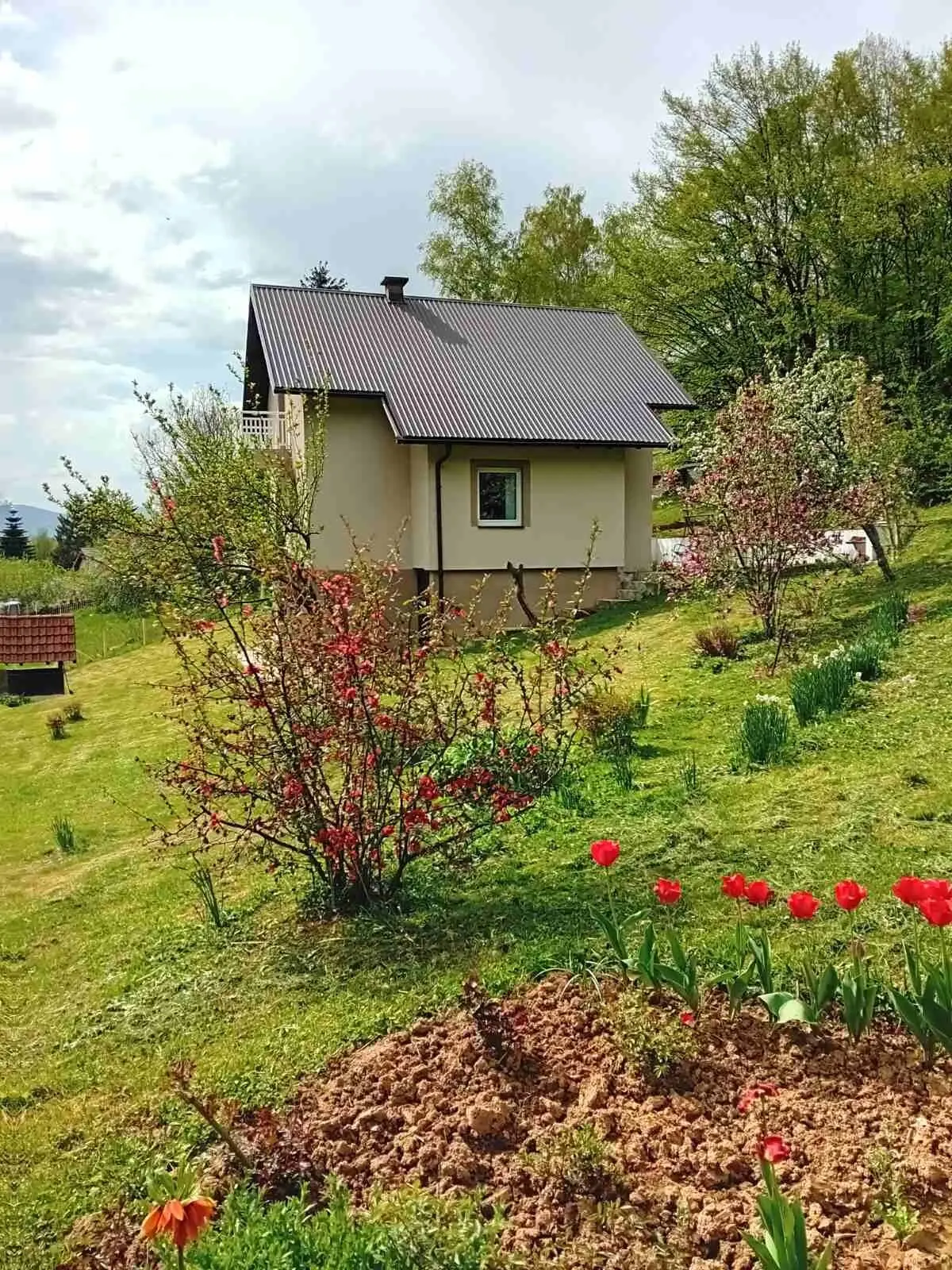 Entire 3 floor house