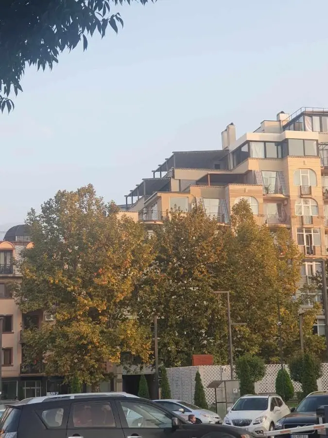 Terrace View