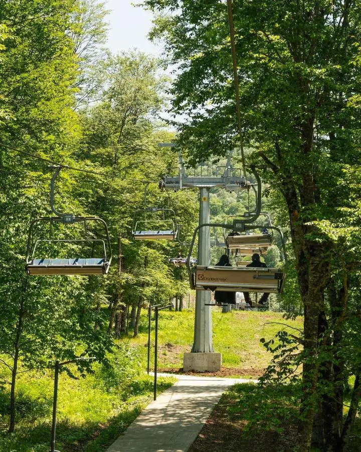 Bakuriani Krystal Resort Apartment A108