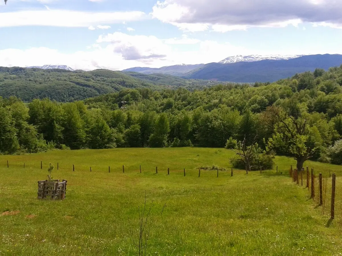 Nature retreat close to town