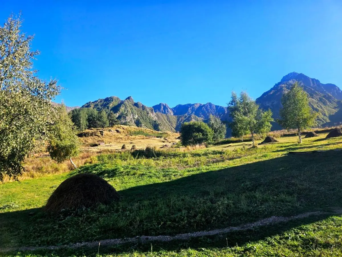 Shelva Cottage kazbegi