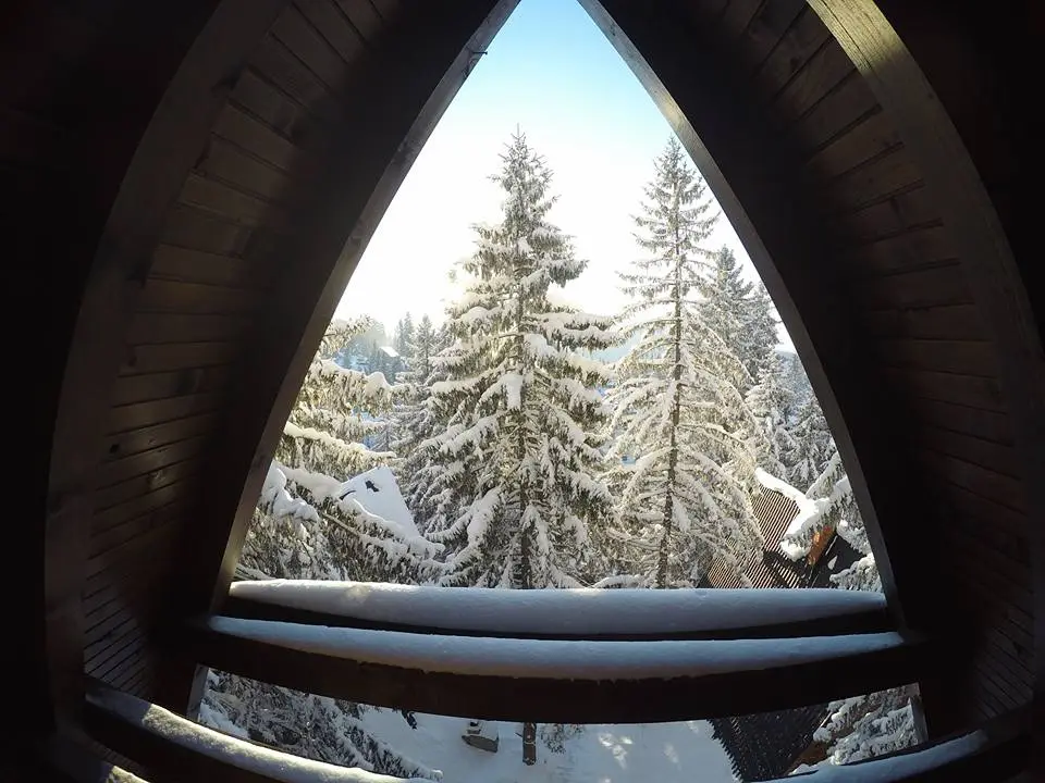 Vlasic Cabin